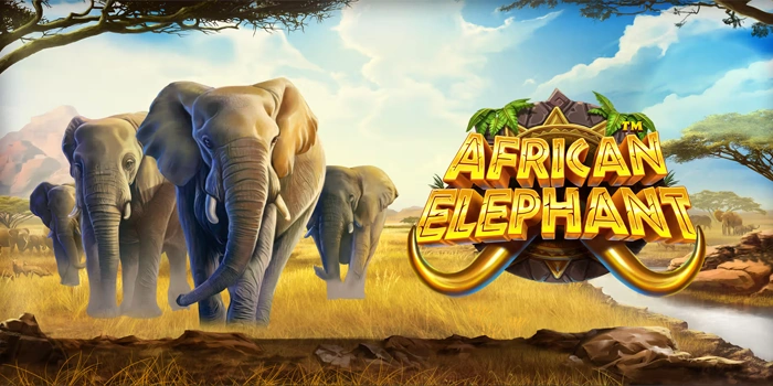 Waktu Gacor Rahasia Slot African Elephant Yang Sering Terlewat